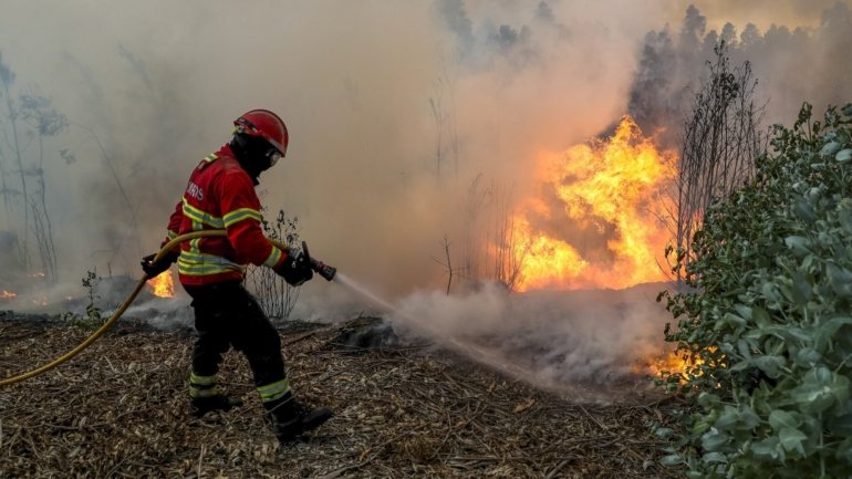 O IPMA colocou  em risco muito elevado e elevado de incêndio vários concelhos de todos os distritos de Portugal continental