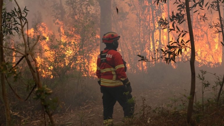 O IPMA colocou também em risco muito elevado e elevado de incêndio quase todos os concelhos de todos os distritos de Portugal continental