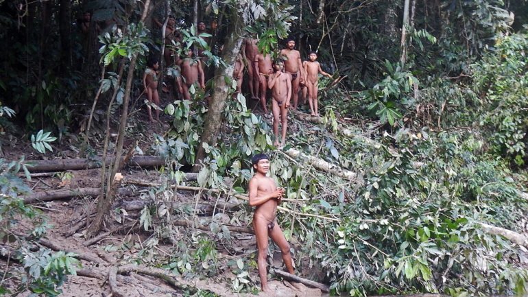 A União dos Povos Indígenas do Vale do Javari acusou o executivo, liderado por Jair Bolsonaro, de ter fracassado ao estabelecer postos de controlo para limitar o acesso às terras