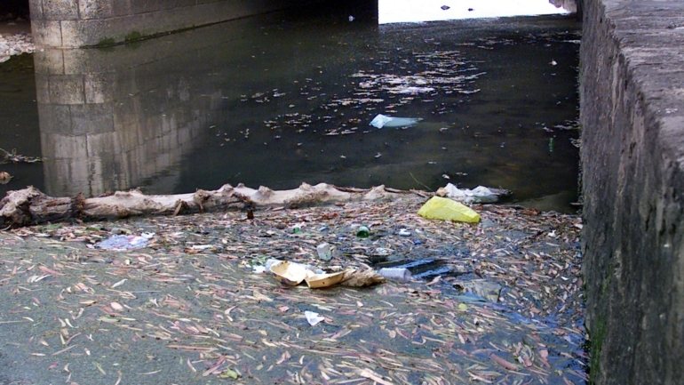 Poluição numa ribeira do concelho de Oeiras