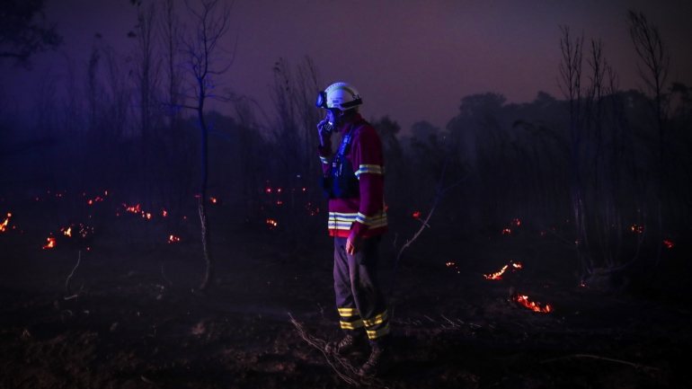 O incêndio chegou a progredir em duas frentes e queimou uma área de &quot;pinhal, castanheiros e mato&quot; neste concelho do distrito de Vila Real