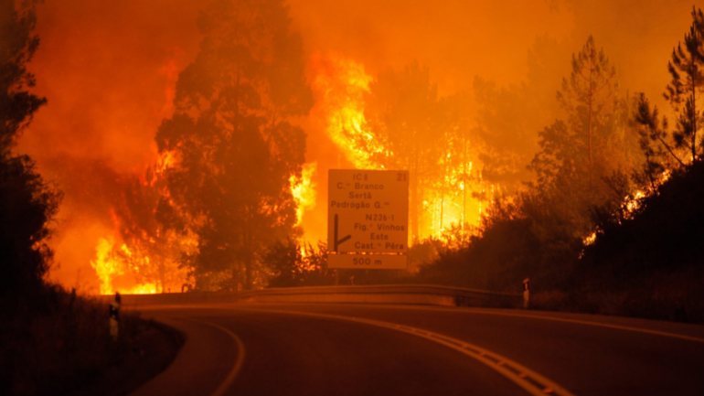 O incêndio que deflagrou em 17 de junho de 2017 no município de Pedrógão Grande lavrou em 11 concelhos dos distritos de Leiria, Coimbra e Castelo Branco