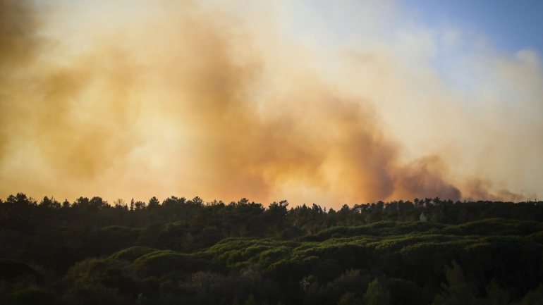 A autarquia lembra que para o concelho de Sintra prevê-se o risco de incêndio rural elevado na quarta e quinta-feira e muito elevado entre sexta-feira e sábado