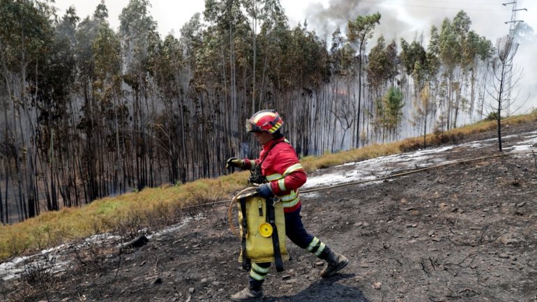 Portugal continental entrou esta segunda-feira em situação de alerta por 48 horas devido às condições meteorológicas que apontam para significativo agravamento do risco de incêndio rural