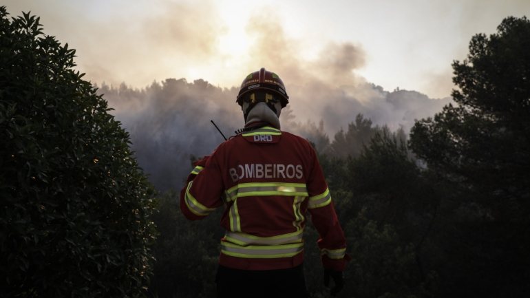 O bombeiro Carlos Carvalho, de 40 anos, morreu esta quinta-feira no Hospital de Santa Maria, em Lisboa, para onde tinha sido transportado de helicóptero após sofrer queimaduras graves no combate ao incêndio que ocorreu no dia 13 deste mês em Castro Verde
