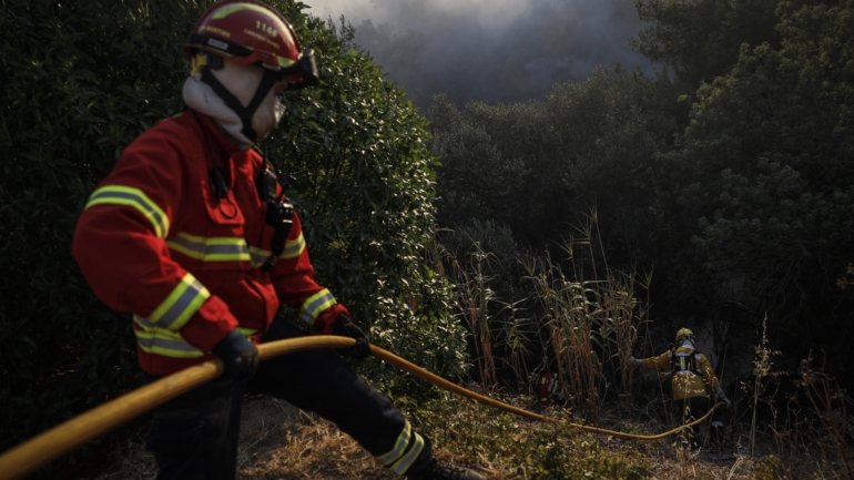 O incêndio agrícola, que foi dado como dominado às 02h22 do dia 14 deste mês, devastou uma área estimada em mais de dois mil hectares de seara, pasto e mato