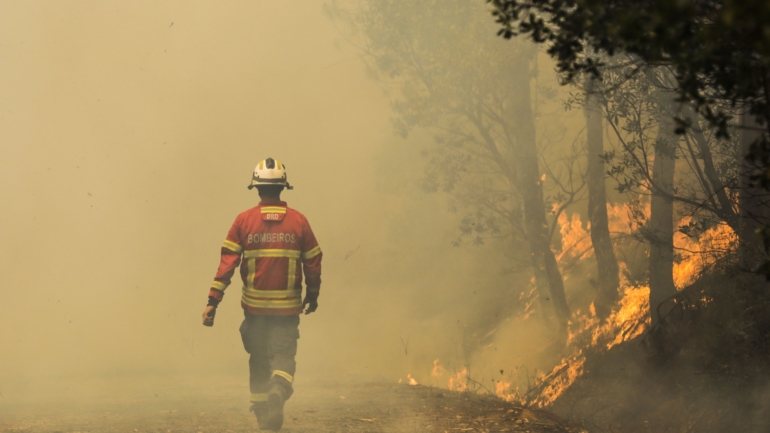 Beja indicou que o alerta para o fogo, que deflagrou na Quinta dos Anjos de Portugal, na freguesia de Pias, foi dado às 14h48, tendo sido mobilizados bombeiros da corporação de Serpa