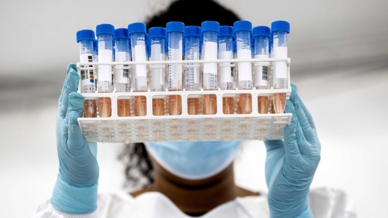Quase meio milhão destes novos testes de zaragatoa, chamados LamPORE, já estarão disponíveis na próxima semana, sendo lançados mais no final do ano.