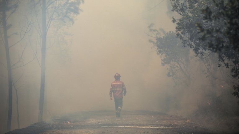 Devido ao &quot;significativo agravamento&quot; do risco de incêndio rural, Portugal continental está em situação de alerta até terça-feira