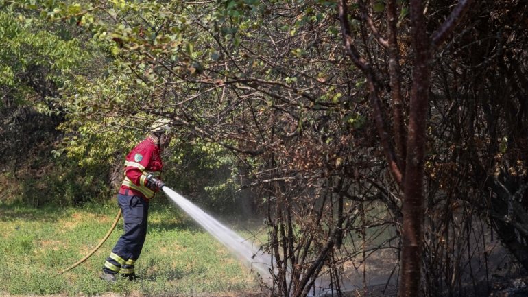 Portugal continental está em situação de alerta por causa do &quot;significativo agravamento do risco de incêndio rural&quot;
