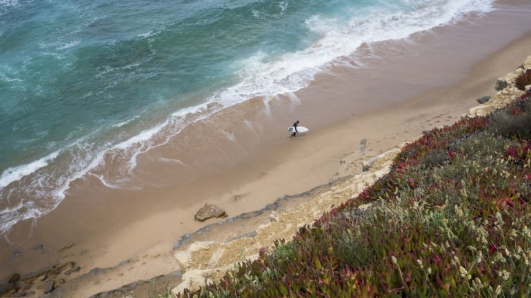 A ação que culminou com a reabertura da praia a banhos foi articulada entre a Capitania do Porto de Cascais, a Autoridade de Saúde Regional, a Agência Portuguesa do Ambiente e a Câmara Municipal de Mafra