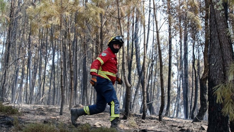 O risco de incêndio determinado pelo IPMA tem cinco níveis, que vão de reduzido a máximo