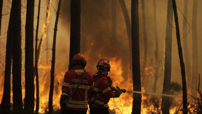 O incêndio da serra da Lousã resultou na morte de José Augusto, 55 anos, chefe de equipa dos bombeiros voluntários de Miranda do Corvo e ferimentos noutros três bombeiros.