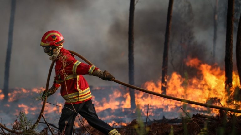 O IPMA colocou também em risco muito elevado de incêndio mais de 50 concelhos dos distritos de Bragança, Viseu, Guarda, Aveiro, Coimbra, Leiria, Santarém, Castelo Branco, Portalegre e Faro
