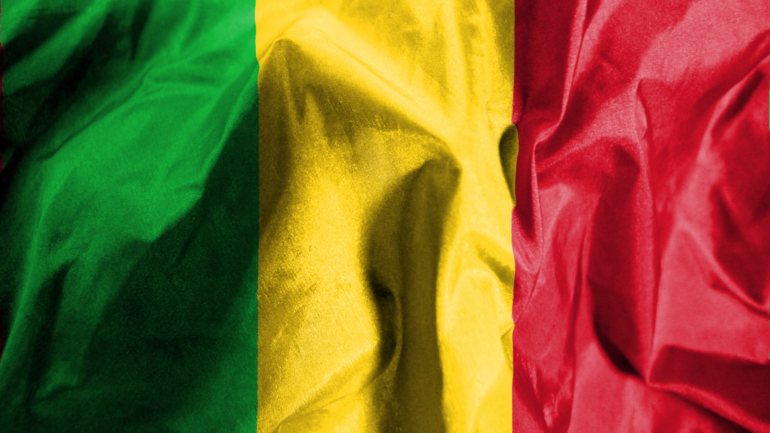 O roteiro de transição política do Mali, com uma duração proposta de 18 meses, começa com a nomeação de um Presidente interino e vice-presidente, por um conselho eleito pelo CNSP, mas deixa em aberto a possibilidade de serem os militares a dirigir o período de transição