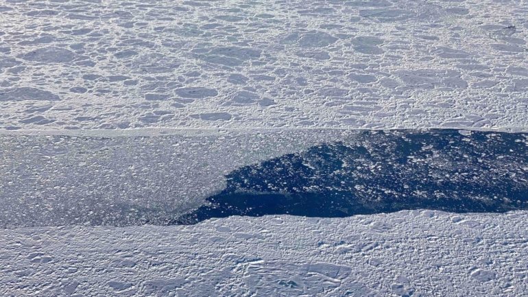 O degelo registado este ano fica apenas atrás do ano de 2012, quando o gelo diminuiu para 3,4 milhões de quilómetros quadrados