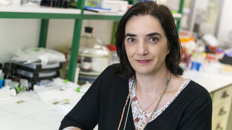 Elvira Fortunato foi a única portuguesa premiada, entre outros cientistas distinguidos de uma lista de 10 finalistas