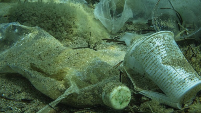 O plástico degrada-se e deposita-se no fundo dos oceanos