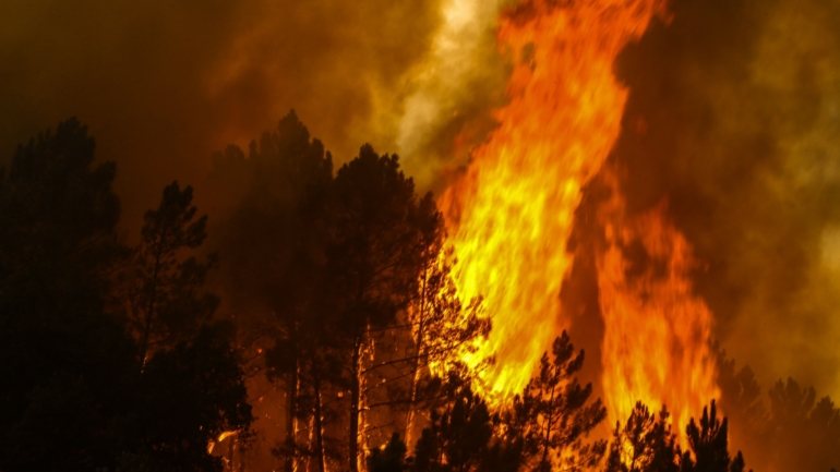 De acordo com os dados provisórios, a área ardida aumentou este ano cerca de 60% em relação ao mesmo período de 2019, tendo até 15 de setembro ardido mais 25.000 hectares de floresta