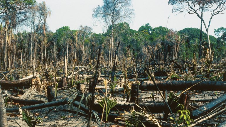 Apesar de ter grande parte dos ecossistemas intactos, a desflorestação da Amazónia pode colocar o Brasil em risco