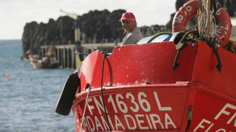 Um pescador recebe 438,81 euros por cada mês e os armadores 766 euros