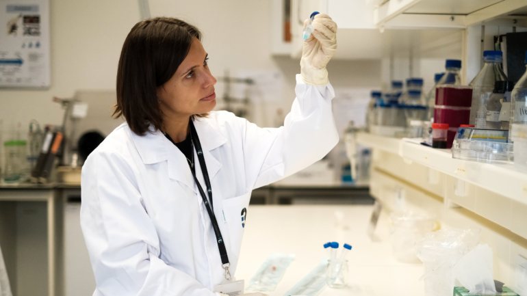 Fabíola Costa é investigadora do i3S, o consórcio na área de investigação científica em saúde da Universidade do Porto, que reúne o Instituto de Biologia Molecular e Celular, o Instituto Nacional de Engenharia Biomédica e o Instituto de Patologia e Imunologia Molecular