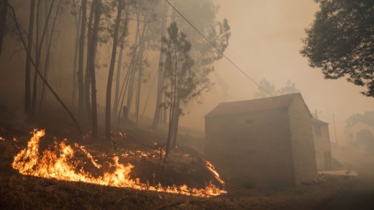 Incêndio consumiu cerca de oito hectares de pinhal, arvoredo disperso, matos e pastos