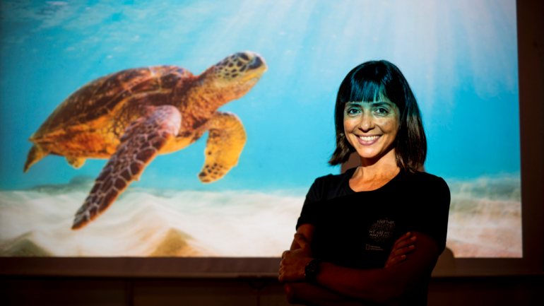Ana Rita Patrício (fotografada na biblioteca do ISPA) é investigadora do MARE-Centro de Ciências do Mar e do Ambiente e da Universidade de Exeter, no Reino Unido