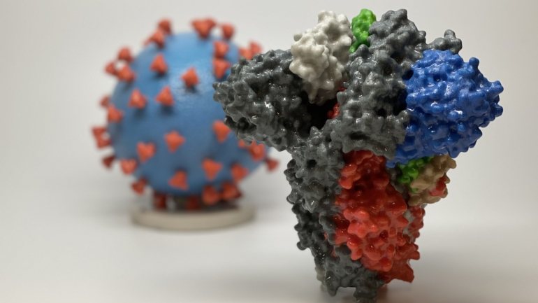 A proteína spike (no modelo tridimensional à frente) liga-se às células humanas para permitir a entrada do vírus