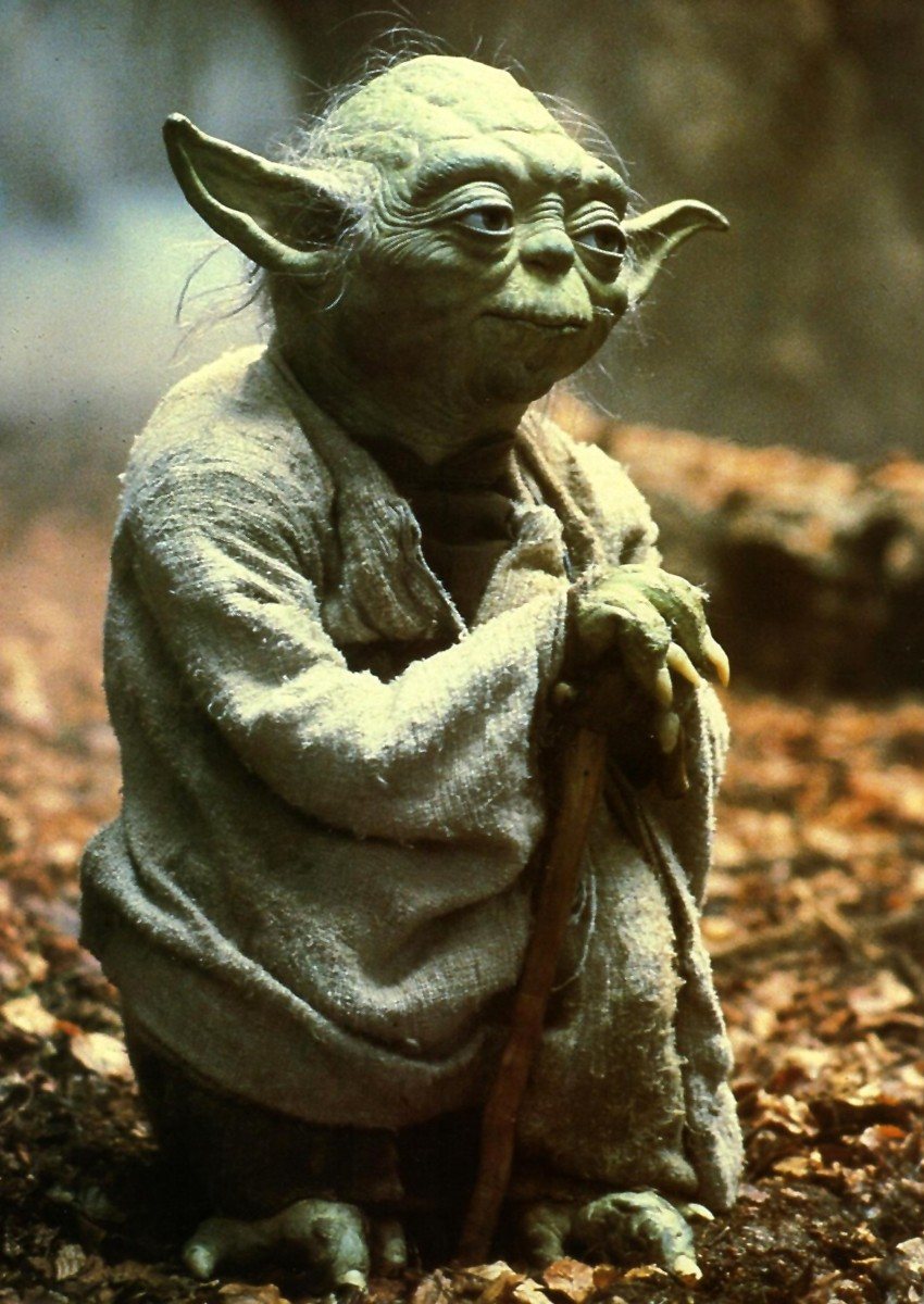 Yoda: este artigo você tem de ler – Observador