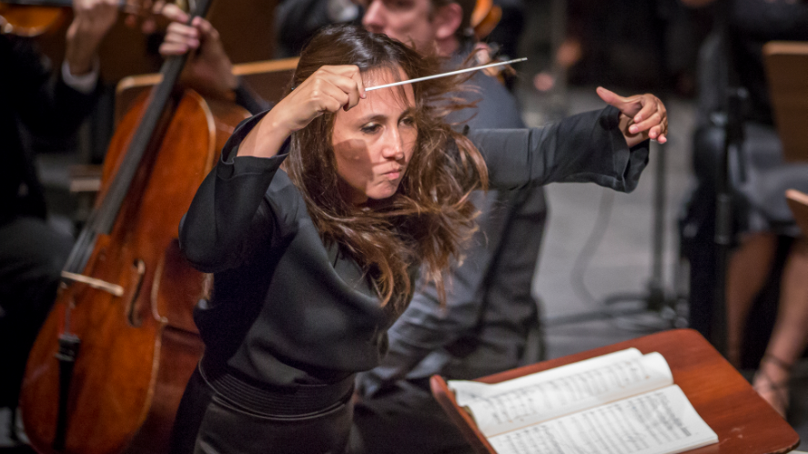 Joana Carneiro deixou de ser maestrina titular da Orquestra Sinfónica Portuguesa no final do ano passado, após oito anos à frente da orquestra.