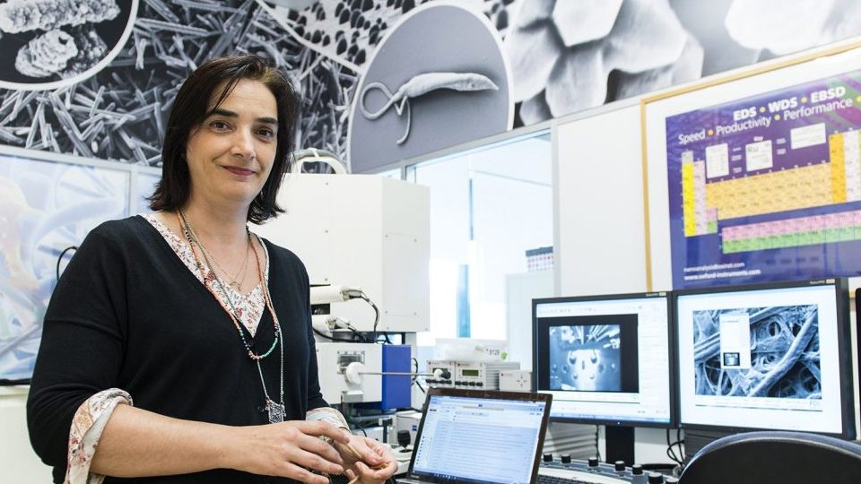 Elvira Fortunato é cientista especialista em microelectrónica e optoelectrónica, professora catedrática e vice-reitora da Universidade Nova de Lisboa
