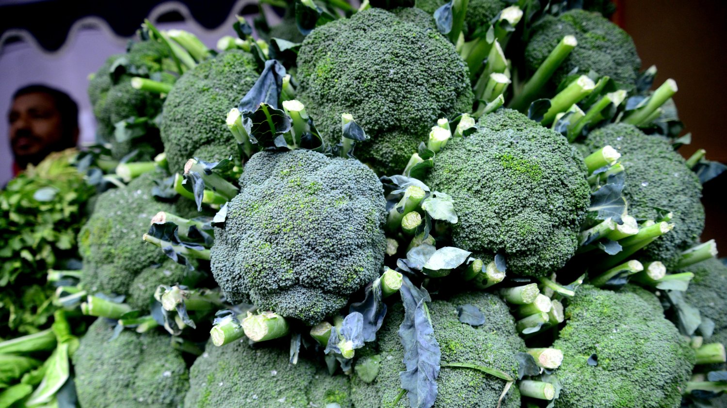 O estudo sobre os brócolos foi feito por uma investigadora da Universidade de Aveiro