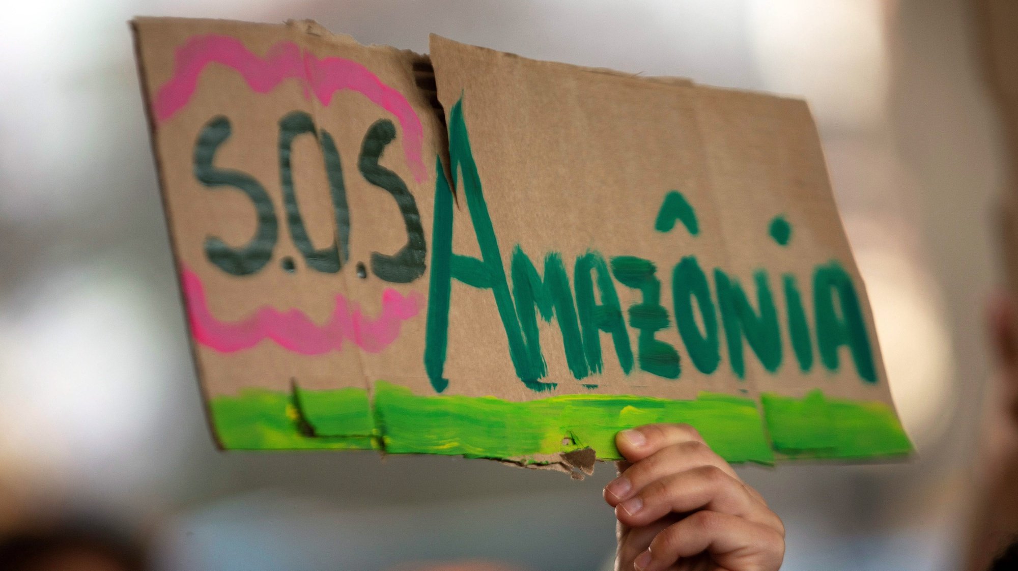epa07821187 A protester holds a banner &#039;SOS Amazon&#039;  during a protest in the framework of the Amazon Day in Brasilia, Brazil, 05 September 2019. Brazil celebrates the Amazon Day amid multiple fires that ravaged the Rainforest, the increase of the deforestation and the &#039;anti-environmental&#039; rhetoric of President Jair Bolsonaro.  EPA/JOEDSON ALVES