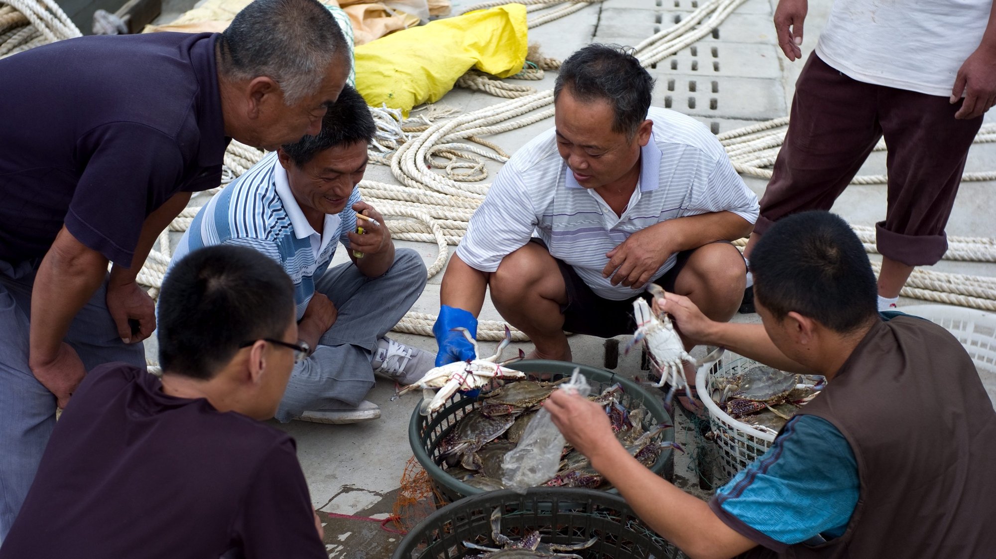 epa03393966 Chinese fishermen sort out crabs at a port in Qingdao city, eastern China&#039;s Shandong province, 11 September 2012. Chinese fishermen started to catch fish from 01 September 2012 after a three-month fishing ban season in Bohai Sea and Yellow Sea to protect fisheries and marine ecological balance against overfishing and ocean pollution.  EPA/WU HONG