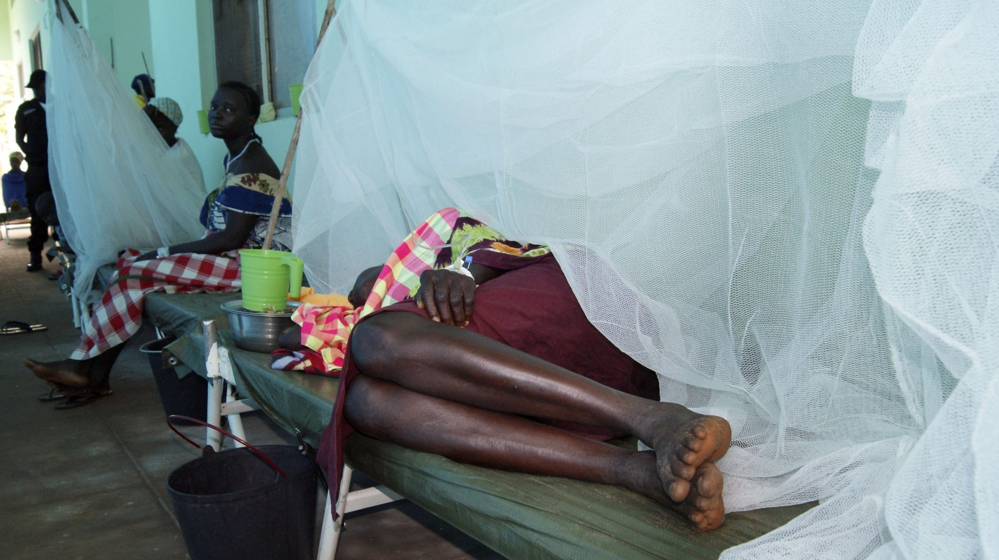 Cólera da Guiné-Bissau