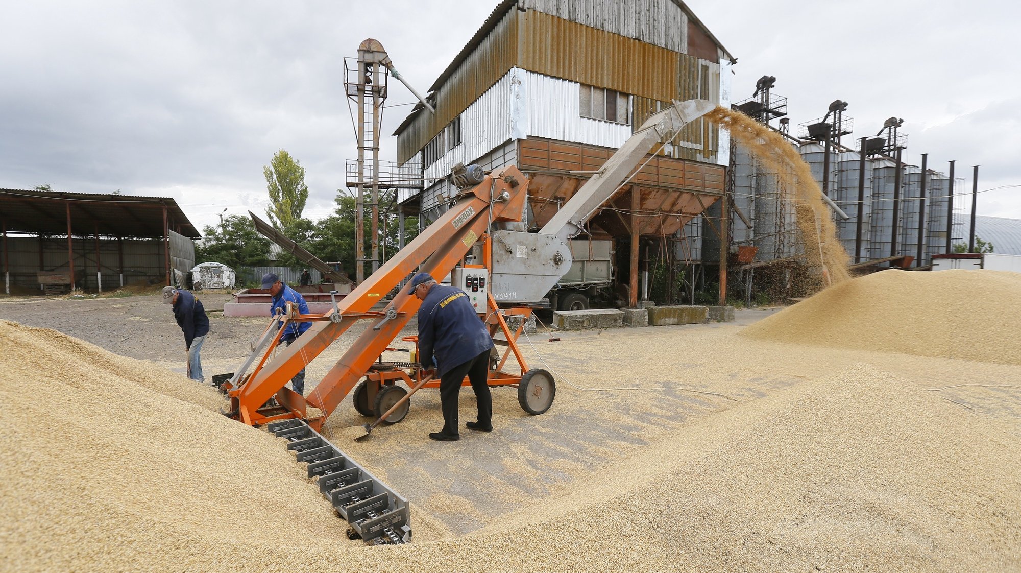 epa10030719 Ukrainian farmers mix grain of barley and wheat at a magazine after harvest in Odesa area, Southern Ukraine, 23 June 2022. The Food and Agriculture Organization (FAO) of the United Nations said in its 10 June note assessing the risks emanating from the conflict in Ukraine that &#039;the current war raises concerns over whether crops will be harvested. It has already led to the closures of ports and oilseed crushing operations, affecting products intended for the export markets. These are taking a toll on the country&#039;s exports of grains and vegetable oils. On 24 February Russian troops entered Ukrainian territory starting a conflict that has provoked destruction and a humanitarian crisis.  EPA/STR