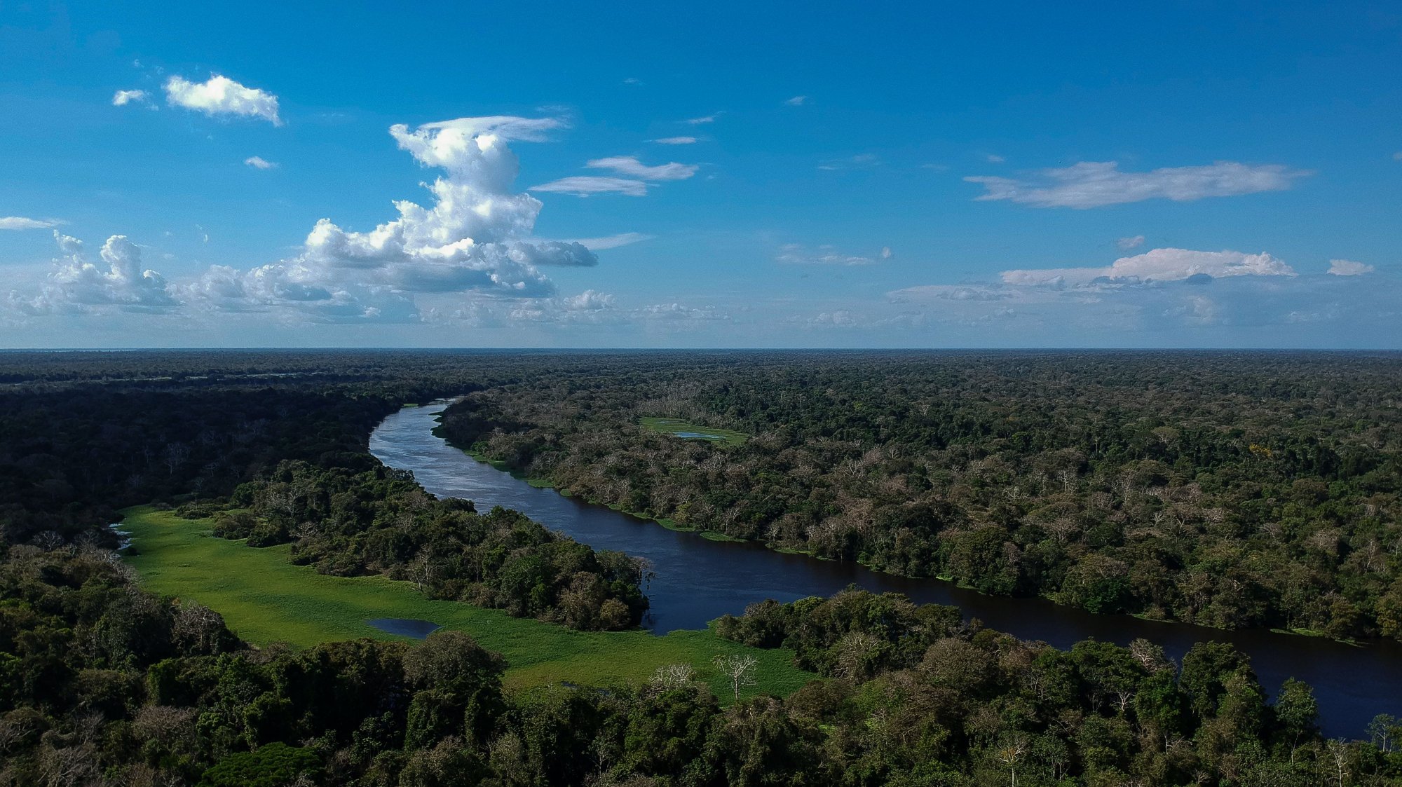 Segundo o relatório, florestas tropicais como a Amazónia (na foto) podem ter atingido o pico da capacidade de absorção de carbono