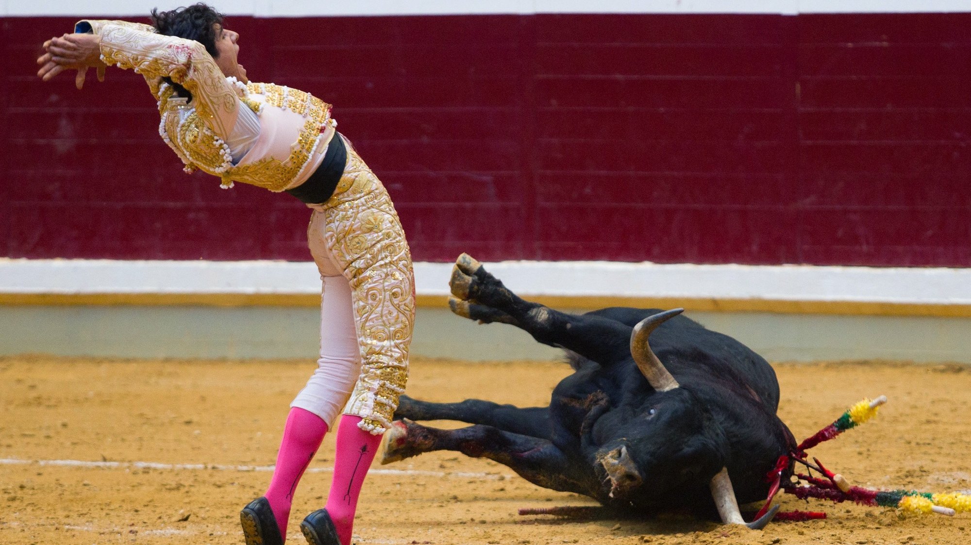 epa06217030 Mexican bullfighter Luis David Adame perfoms during San Mateo bullfighting fair at Ribera bullring in Logrono, Spain, 20 September 2017 (issued 21 September 2017).  EPA/ABEL ALONSO