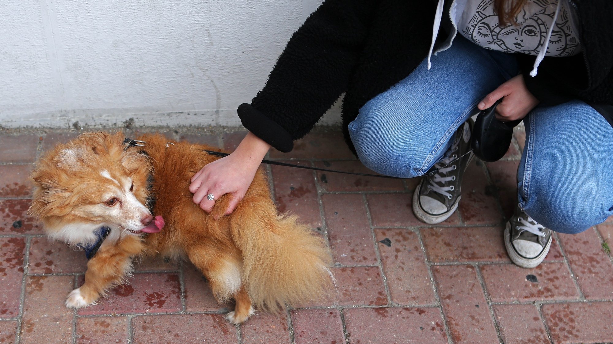 A estudante de medicina veterinária, Luísa Pinheiro, acaricia um cão de uma vizinha com doenças de risco, impedida de sair de casa, devido à pandemia da covid-19, durante um passeio em Odivelas, 15 de abril de 2020. (ACOMPANHA TEXTO DE 16/04/2020) ANTÓNIO PEDRO SANTOS/LUSA