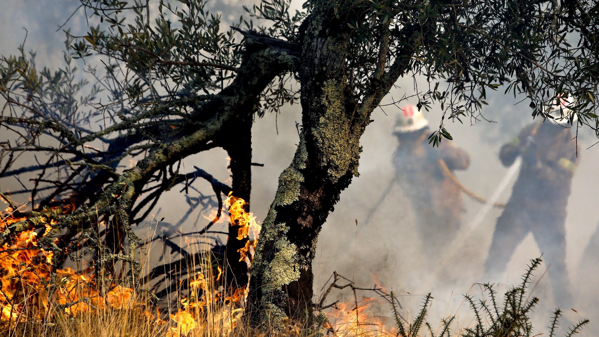 Incêndio florestal em Soure, que deflagrou na segunda-feira e que tinha sido dado como dominado, mas hoje estava novamente ativo na sequência de um reacendimento, 06 de setembro de 2016. PAULO NOVAIS/LUSA