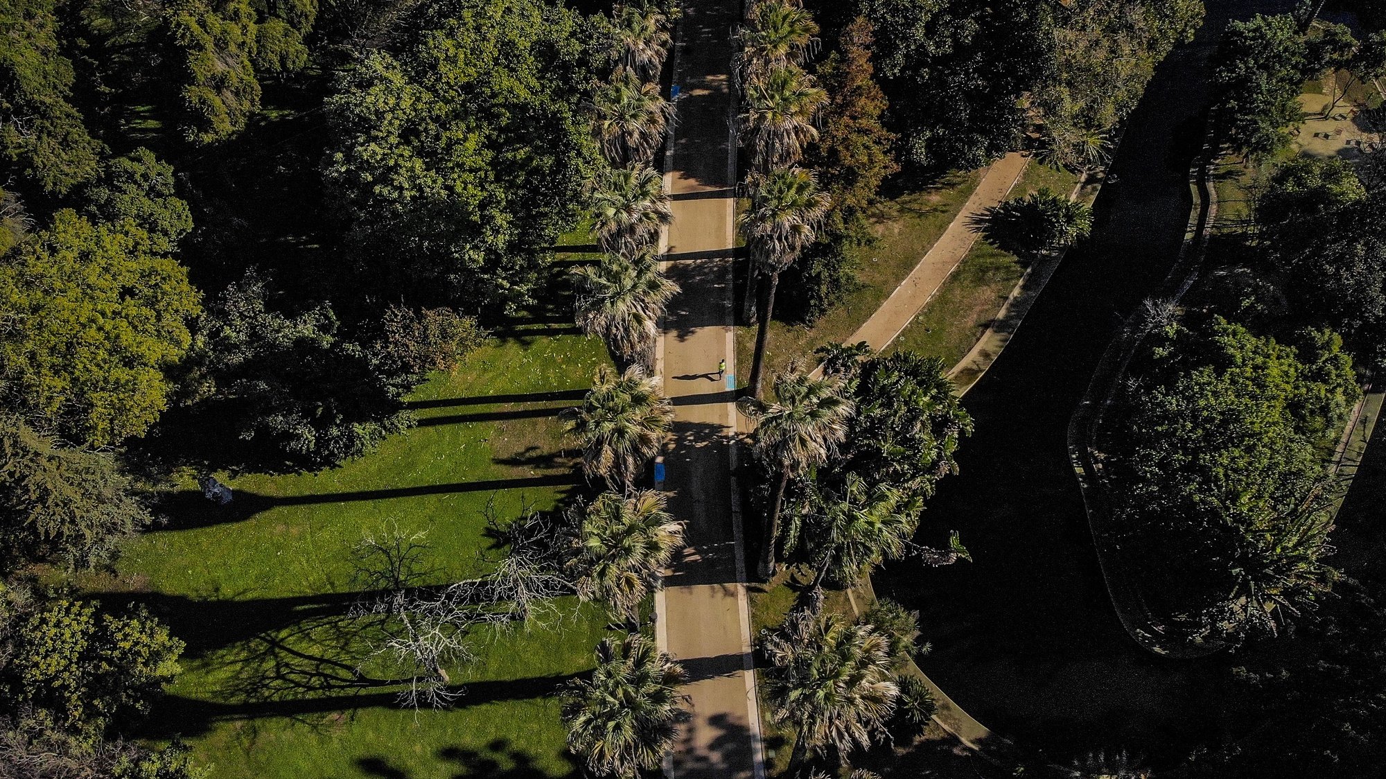 Um ano depois de ter encerrado, o Jardim Botânico Tropical, em Belém, Lisboa, abre portas no sábado com espaços renovados, desde caminhos, condutas de água e de rega, 21 de janeiro de 2020. (ACOMPANHA TEXTO DO DIA 23 DE JANEIRO DE 2020) MÁRIO CRUZ/LUSA