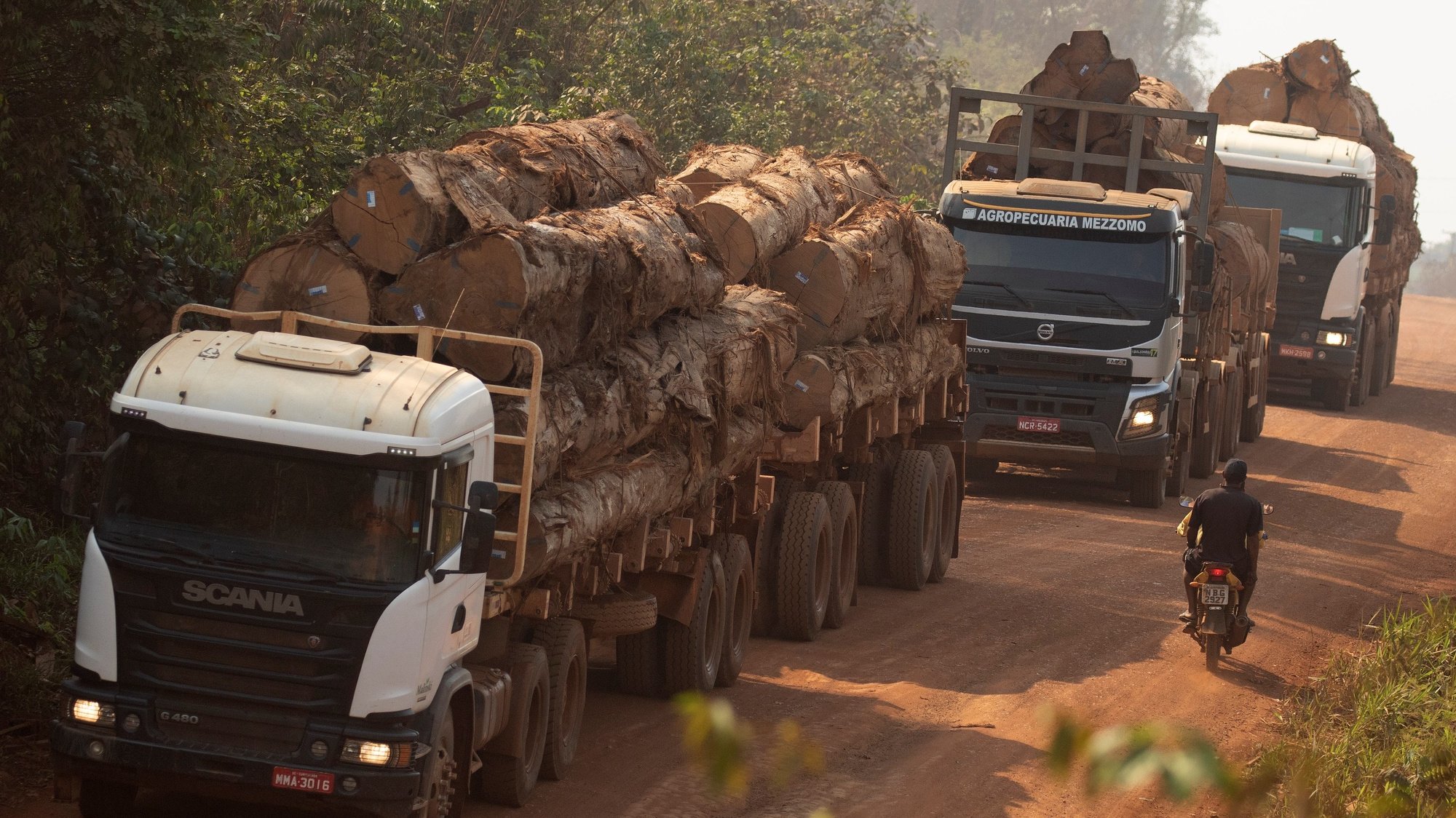 epa07798329 Three trucks transport wood extracted from the Amazon rainforest in the state of Rondonia, Brazil, 27 August 2019. The Brazilian Army and the National Public Security Force (FNSP), an elite group of the Police, mobilized almost 1,000 troops Tuesday to fight fires that affect the Jacunda National Forest, a natural park near Porto Velho, capital of the Amazon state of Rondonia. &#039;The goal is to fight environmental crimes with emphasis on fire sources,&#039; the Ministry of Defense said in a statement.  EPA/Joedson Alves