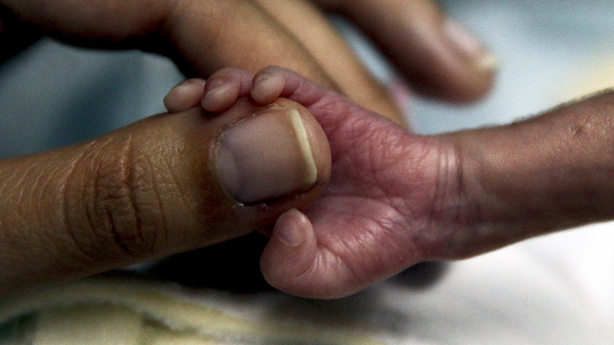 Um bebé agarra a mão da mãe na sala de incubadoras para bebés da Maternidade Bissaya-Barreto que comemora 50 anos de existência no dia 28 de abril, em Coimbra, 27 de abril de 2013. (ACOMPANHA TEXTO). PAULO NOVAIS / LUSA