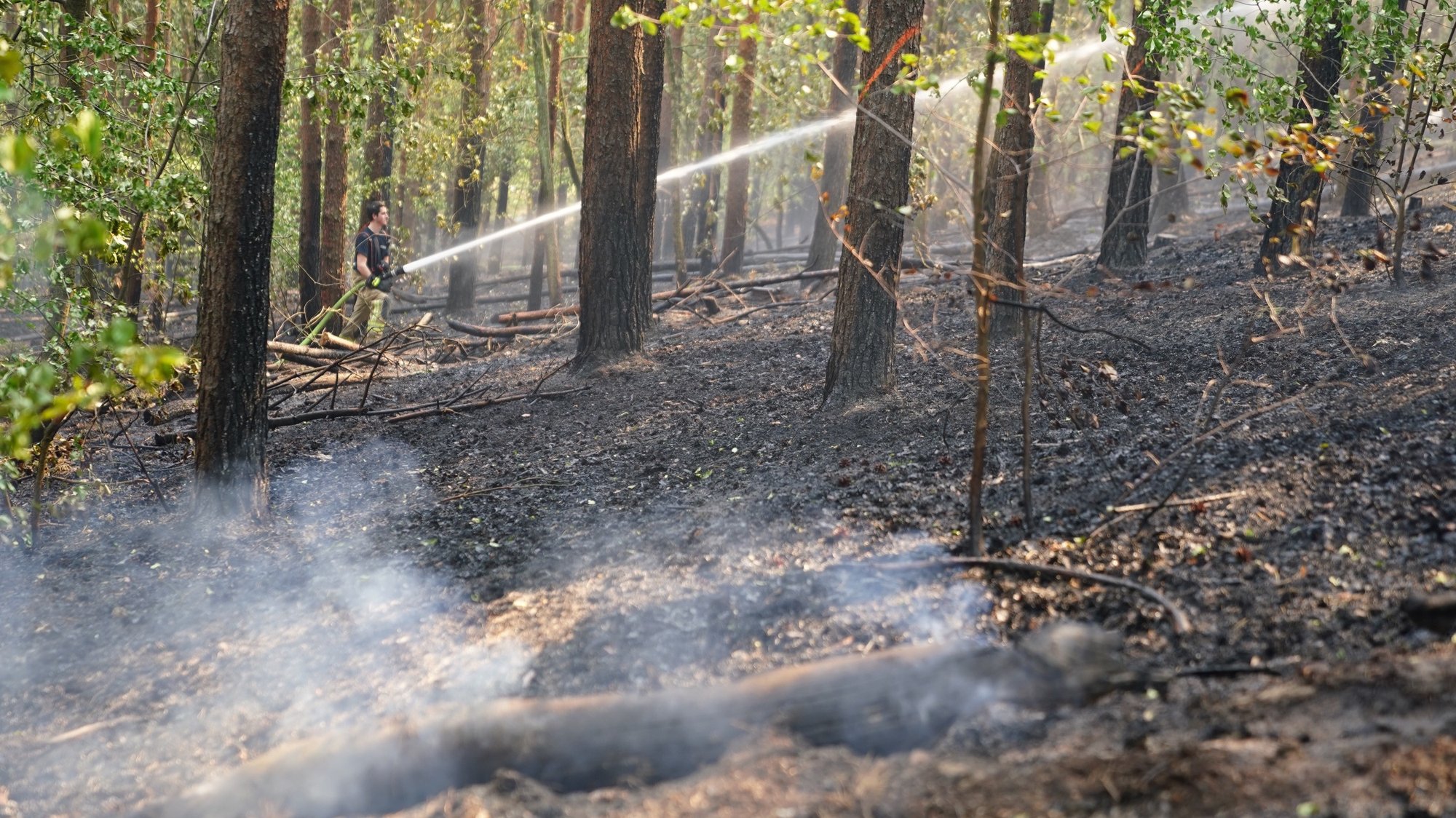 epa07622532 A firefighter in action during a forest fire at the Grunewald forest Berlin, Germany, 03 June 2019. According to the Berlin fire brigade some 20,000 square meters are affected by the forest fire.  EPA/ALEXANDER BECHER