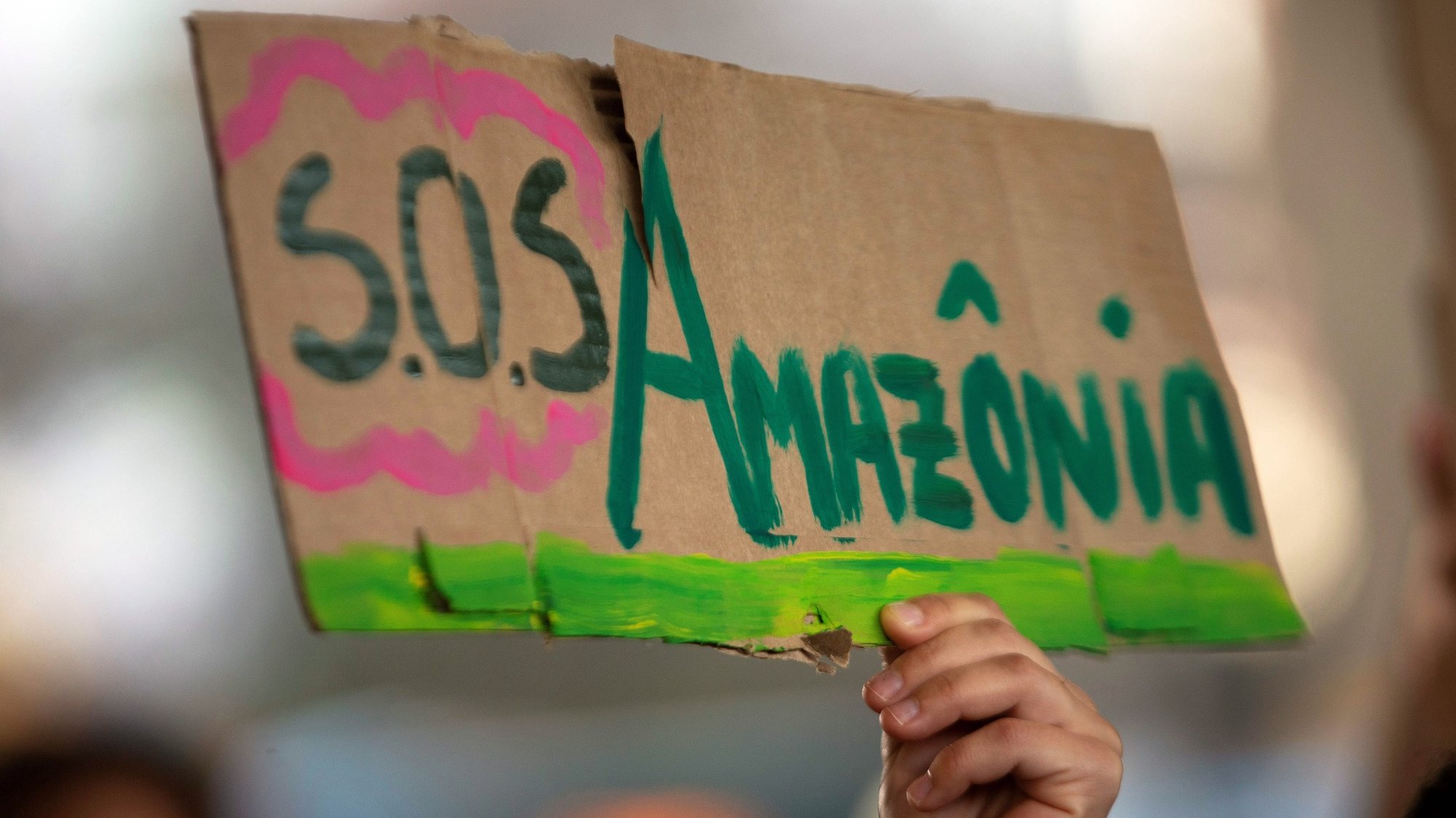 epa07821187 A protester holds a banner &#039;SOS Amazon&#039;  during a protest in the framework of the Amazon Day in Brasilia, Brazil, 05 September 2019. Brazil celebrates the Amazon Day amid multiple fires that ravaged the Rainforest, the increase of the deforestation and the &#039;anti-environmental&#039; rhetoric of President Jair Bolsonaro.  EPA/JOEDSON ALVES