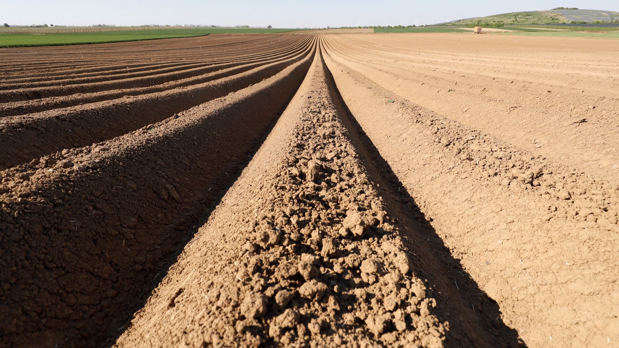 epaselect epa08379908 An view of a dry vegetable field near Frankenthal, Germany, 23 April 2020. As media reports, 2020 threatens to be the third year of drought in succession for Germany. The persistent drought could become a problem especially in agriculture.  EPA/RONALD WITTEK