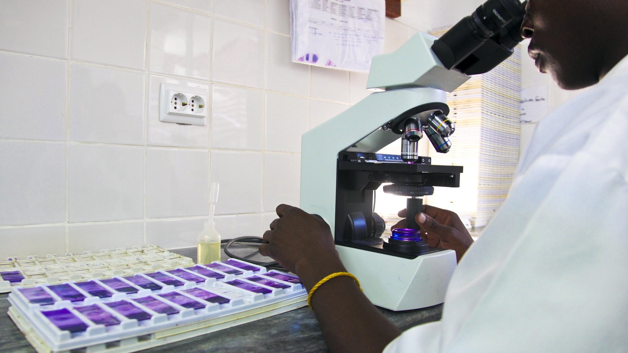 Técnico de Laboratório José Gomes no Laboratório de Parasitologia Centro de Investigação em Saúde de Manhiça, a poucos quilómetros de Maputo,  no âmbito da busca de uma vacina eficaz contra a doença que mais mata em África, 25 de Abril de 2009. (ACOMPANHA TEXTO). PEDRO SÁ DA BANDEIRA/LUSA