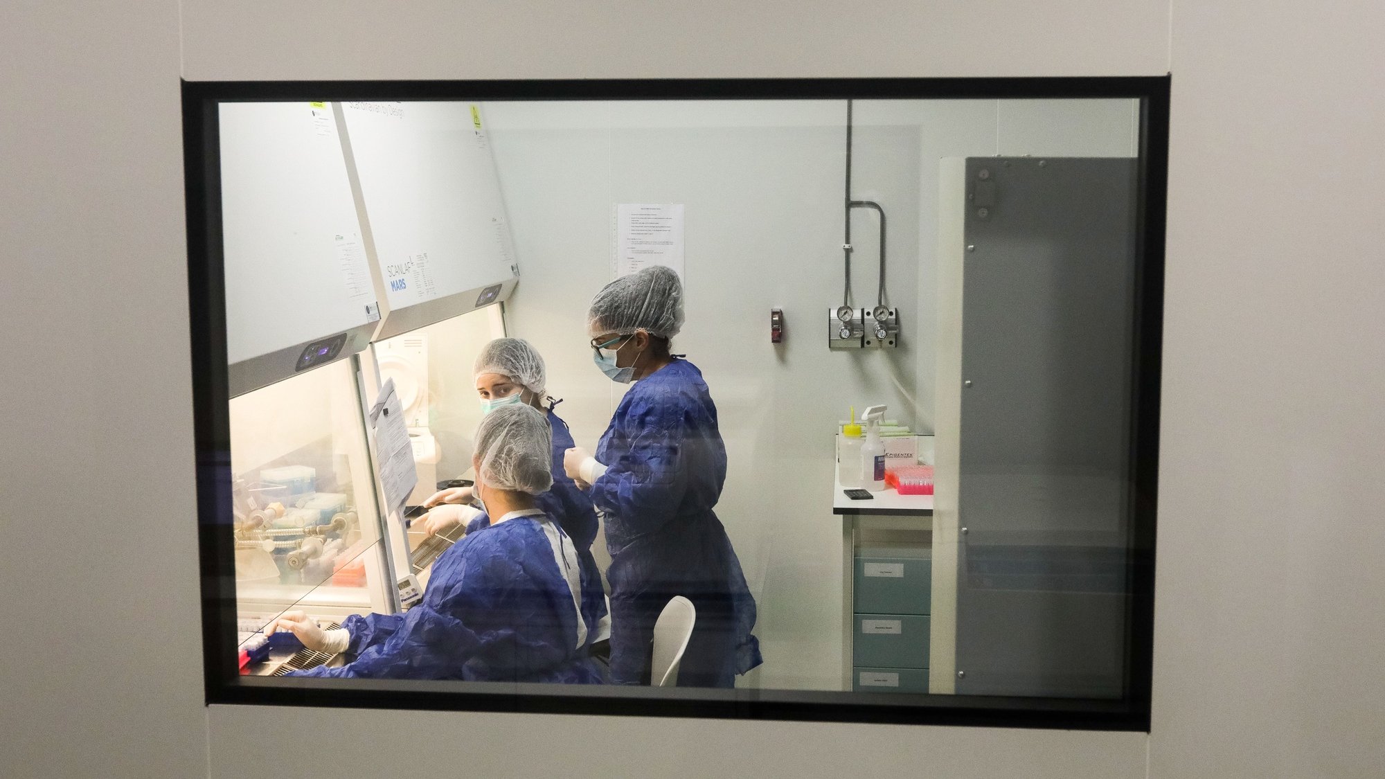 Investigadores da Universidade de Aveiro (UA), durante os trabalhos com testes de rastreio à covid-19, nos laboratórios do Instituto de Biomedicina (iBiMED), da Escola Superior de Saúde de Aveiro, onde a Universidade está a realizar testes de rastreio à covid-19, em Aveiro, 17 de abril de 2020. PAULO NOVAIS/LUSA