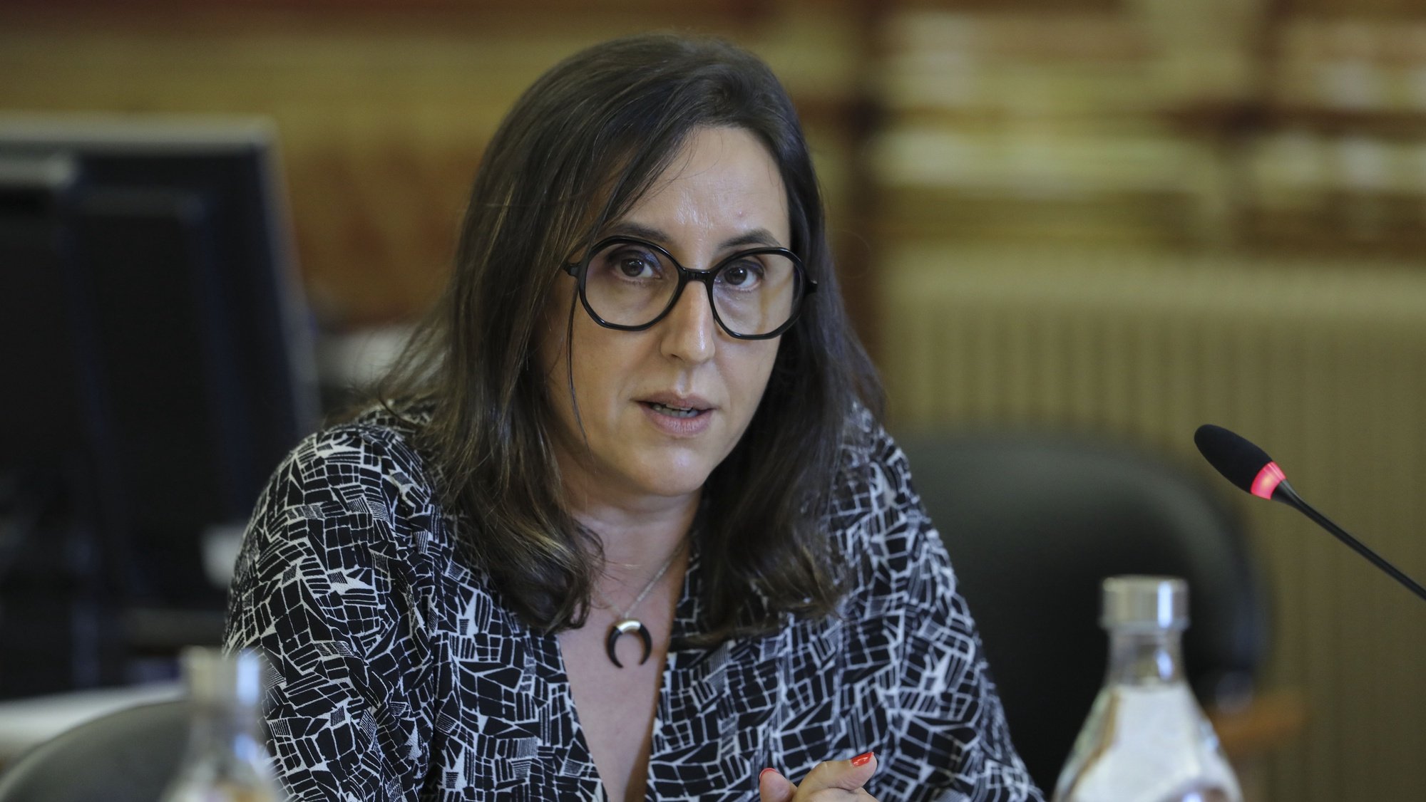 Secretária de Estado para a Cidadania e Igualdade, Rosa Monteiro